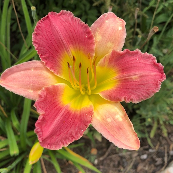 Just waitin- for you to make an offer! - Picture 3 of 3